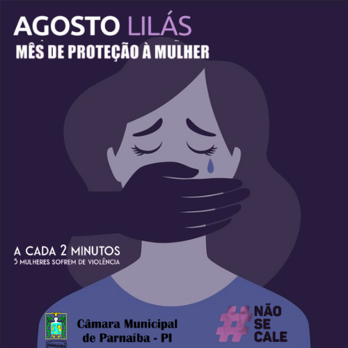 Legislativo Parnaibano apoia campanha “Agosto Lilás” no combate à violência contra a mulher