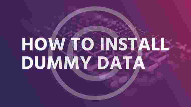 How to install dummy data