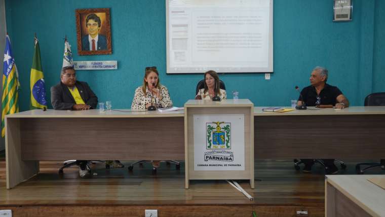 Audiência pública da secretaria da saúde para apresentação do relatório quadrimestral 2019