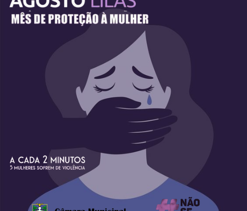 Legislativo Parnaibano apoia campanha “Agosto Lilás” no combate à violência contra a mulher