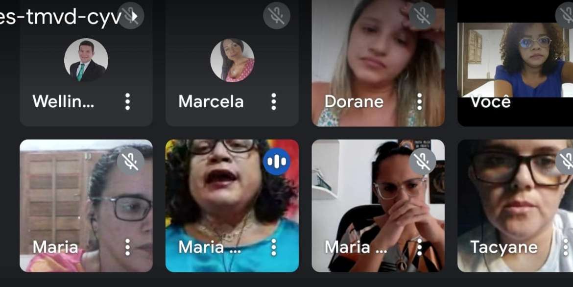 Representantes da CMP participam de videoconferência sobre demandas do Grupo Guará