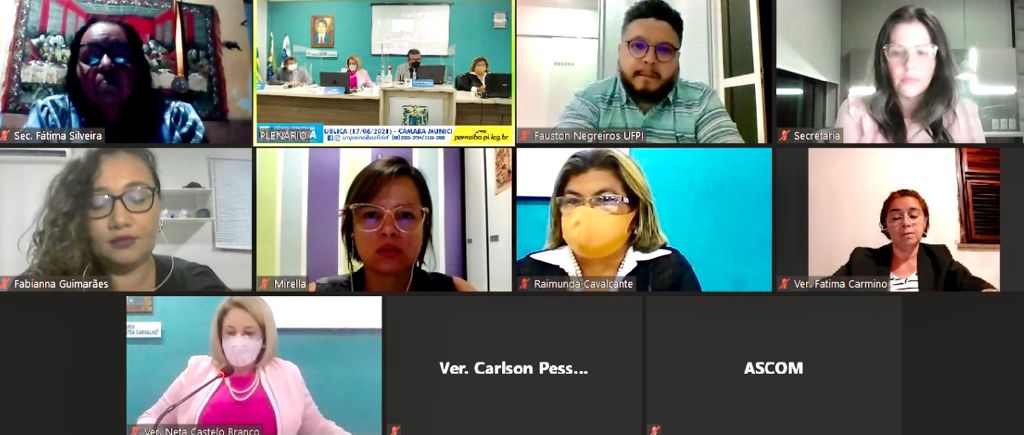 Câmara debate em audiência pública regulamentação da Lei 13.935/2019